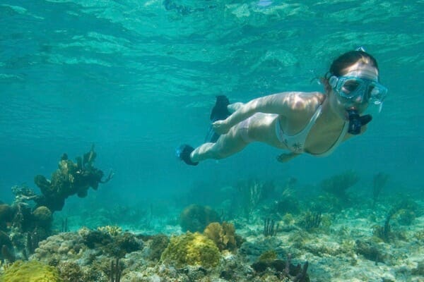 Snorkeling off South Water Caye 1